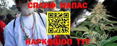 индика Партизанск