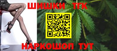 индика Партизанск