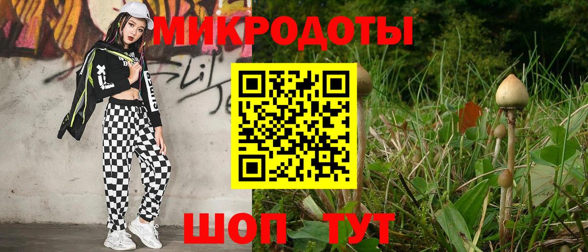 Северобайкальск  Псилоцибиновые грибы Cubensis  Вход с VPN 